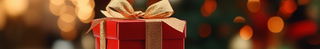 Gifts Under $25