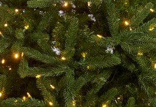 Christmas at Biltmore