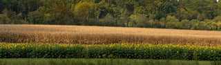Harvest Favorites