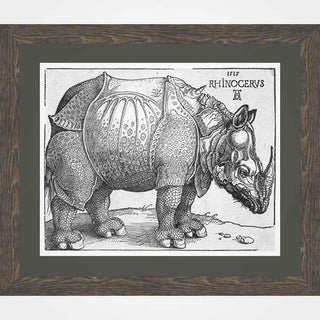 Albrecht Drer's Rhinoceros (Small, Dark Frame)