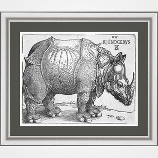 Albrecht Drer's Rhinoceros