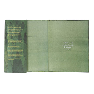 Forest by Christie Matheson