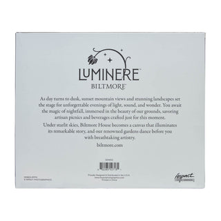 Biltmore Luminere Foil Frame in Blue